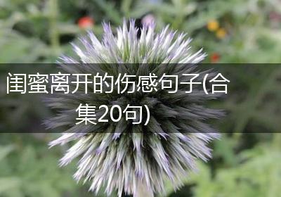 闺蜜离开的伤感句子(合集20句)
