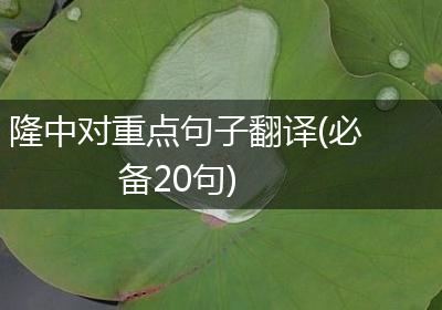 隆中对重点句子翻译(必备20句)
