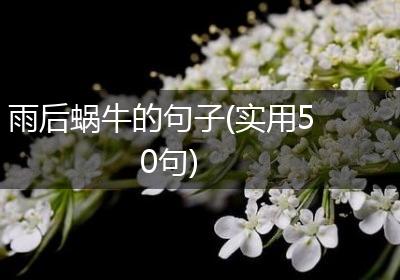 雨后蜗牛的句子(实用50句)