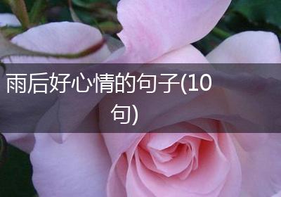 雨后好心情的句子(10句)