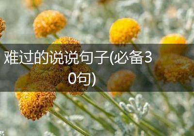 难过的说说句子(必备30句)