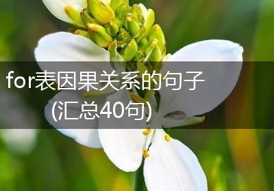 for表因果关系的句子(汇总40句)