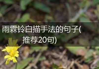 雨霖铃白描手法的句子(推荐20句)