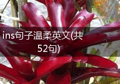 ins句子温柔英文(共52句)