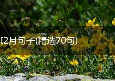 I2月句子(精选70句)