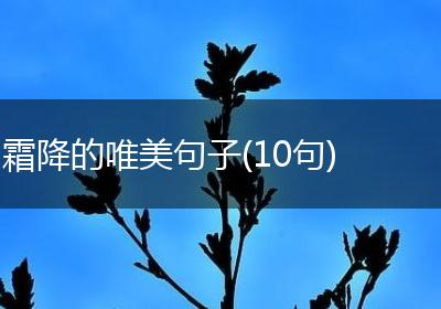 霜降的唯美句子(10句)