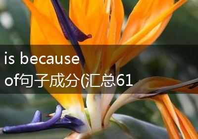 is because of句子成分(汇总61句)