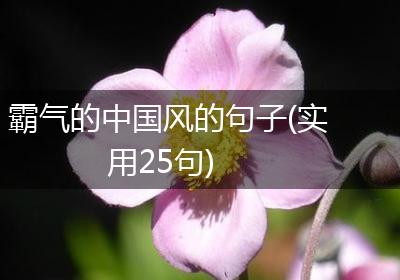 霸气的中国风的句子(实用25句)