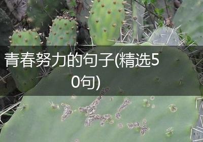 青春努力的句子(精选50句)