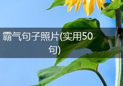 霸气句子照片(实用50句)