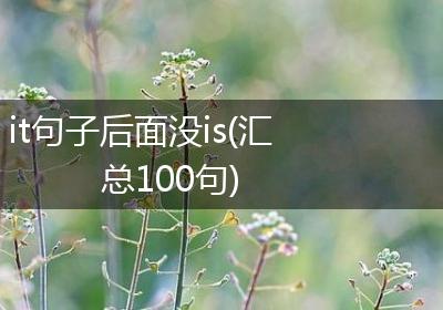 it句子后面没is(汇总100句)