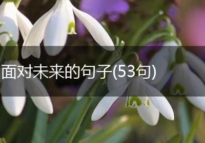 面对未来的句子(53句)