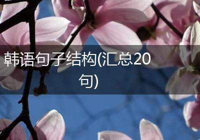 韩语句子结构(汇总20句)