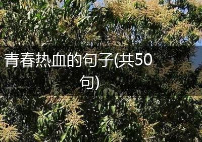 青春热血的句子(共50句)