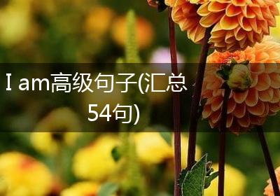 I am高级句子(汇总54句)