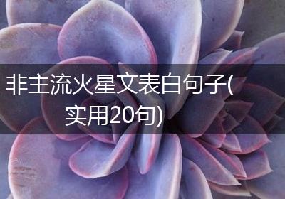 非主流火星文表白句子(实用20句)