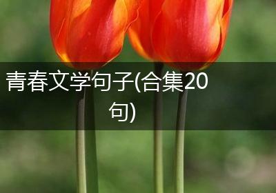 青春文学句子(合集20句)