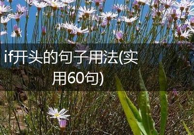 if开头的句子用法(实用60句)
