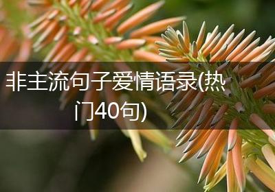 非主流句子爱情语录(热门40句)
