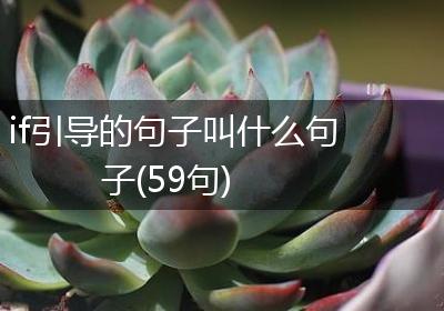 if引导的句子叫什么句子(59句)