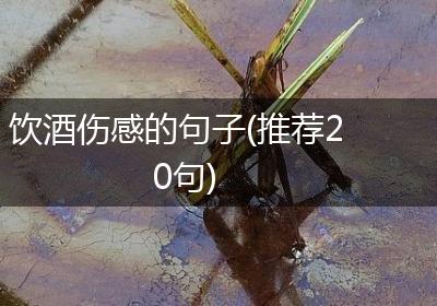 饮酒伤感的句子(推荐20句)