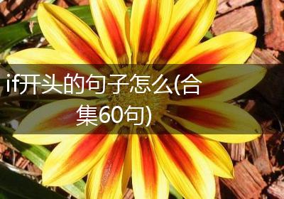 if开头的句子怎么(合集60句)