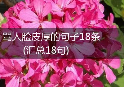 骂人脸皮厚的句子18条(汇总18句)