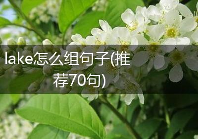 lake怎么组句子(推荐70句)