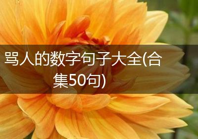 骂人的数字句子大全(合集50句)