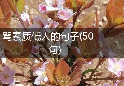 骂素质低人的句子(50句)