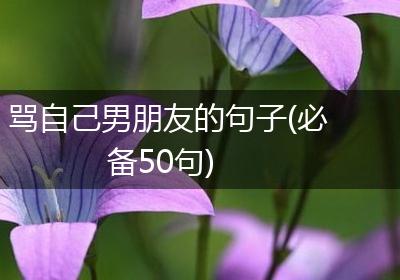 骂自己男朋友的句子(必备50句)