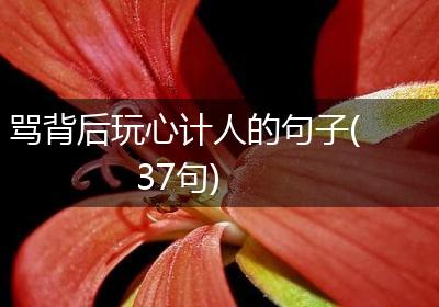 骂背后玩心计人的句子(37句)