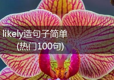 likely造句子简单(热门100句)