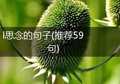 l思念的句子(推荐59句)