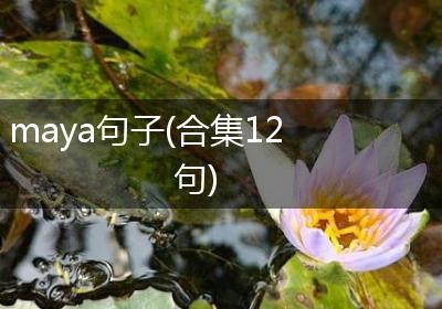 maya句子(合集12句)