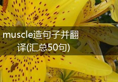 muscle造句子并翻译(汇总50句)
