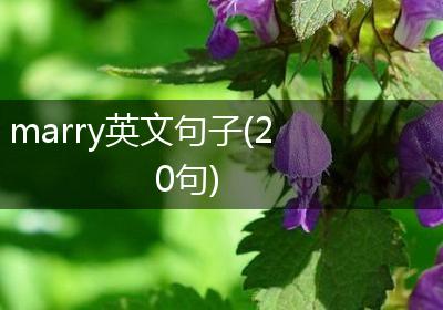 marry英文句子(20句)