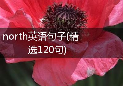 north英语句子(精选120句)