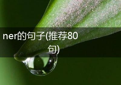 ner的句子(推荐80句)