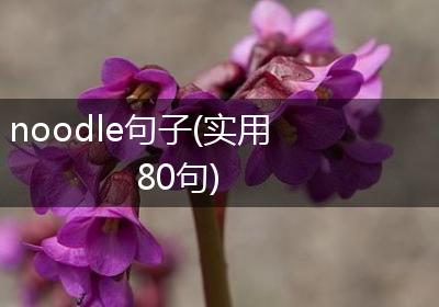 noodle句子(实用80句)
