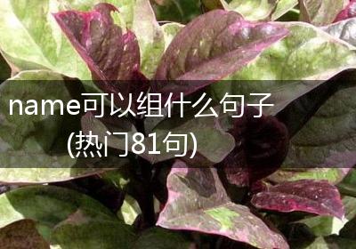 name可以组什么句子(热门81句)