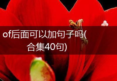 of后面可以加句子吗(合集40句)
