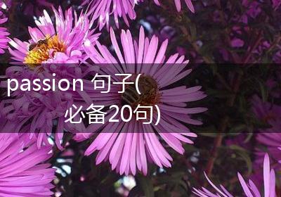 passion 句子(必备20句)