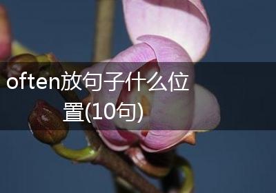 often放句子什么位置(10句)