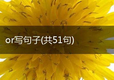 or写句子(共51句)