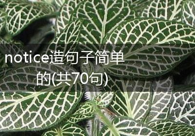notice造句子简单的(共70句)