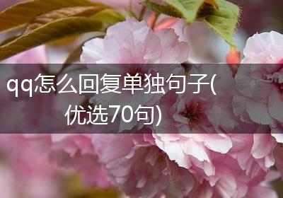 qq怎么回复单独句子(优选70句)