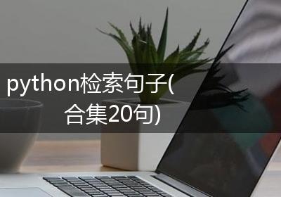 python检索句子(合集20句)