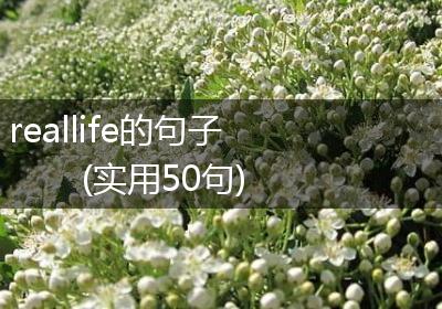 reallife的句子(实用50句)