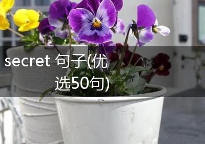 secret 句子(优选50句)